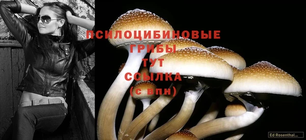 альфа пвп Баксан
