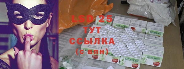ГАЛЛЮЦИНОГЕННЫЕ ГРИБЫ Рославль