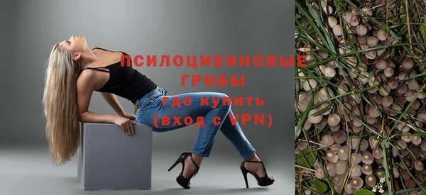 ГАЛЛЮЦИНОГЕННЫЕ ГРИБЫ Рославль