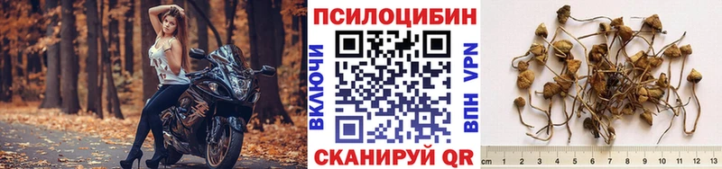 даркнет сайт  Куйбышев  блэк спрут сайт  Галлюциногенные грибы Cubensis 
